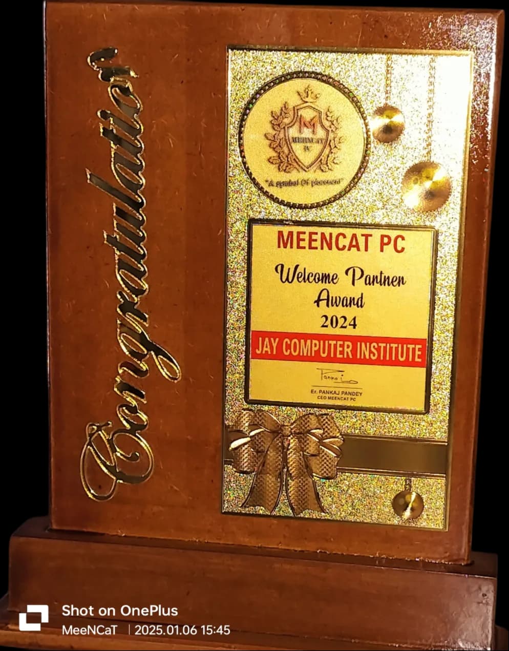 MeenCat PC gallery photo 10