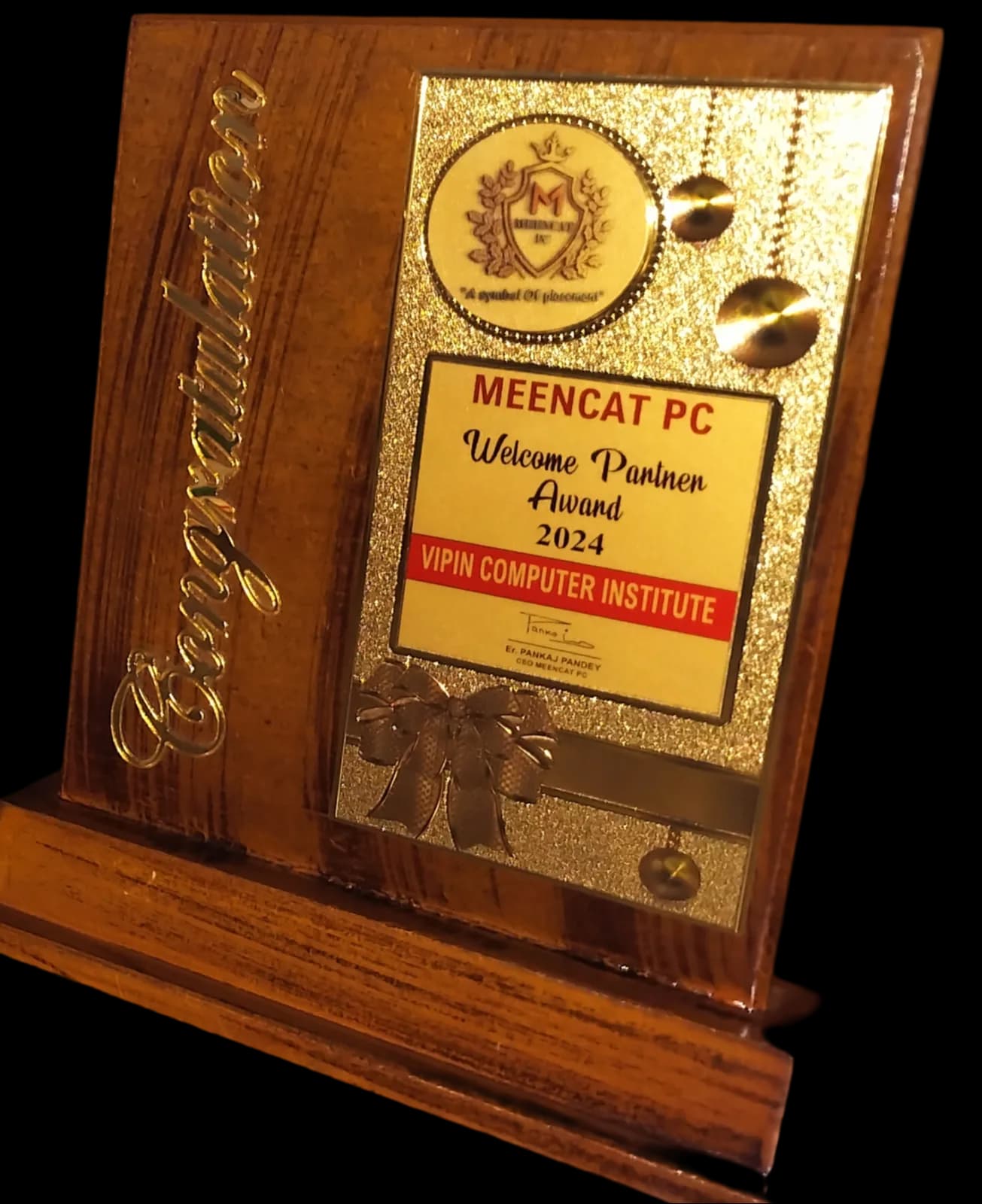 MeenCat PC gallery photo 11